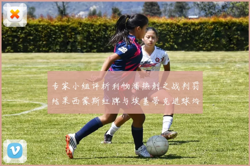专家小组评析利物浦热刺之战判罚结果西蒙斯红牌与埃基蒂克进球均属合理