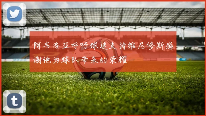 阿韦洛亚呼吁球迷支持维尼修斯感谢他为球队带来的荣耀
