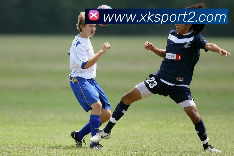 星空体育品牌故事