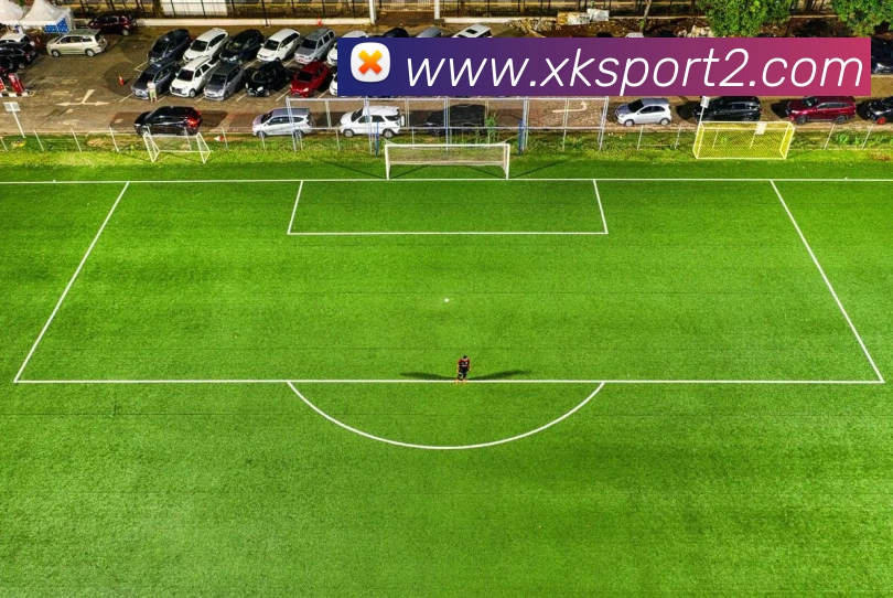 星空体育服务体系